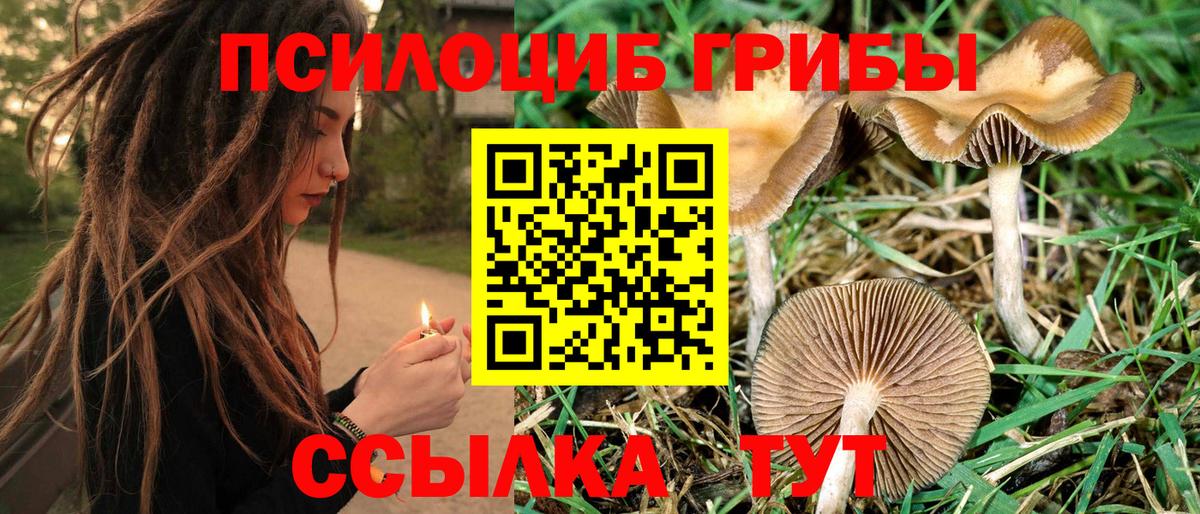 Псилоцибиновые грибы Magic Shrooms Альметьевск