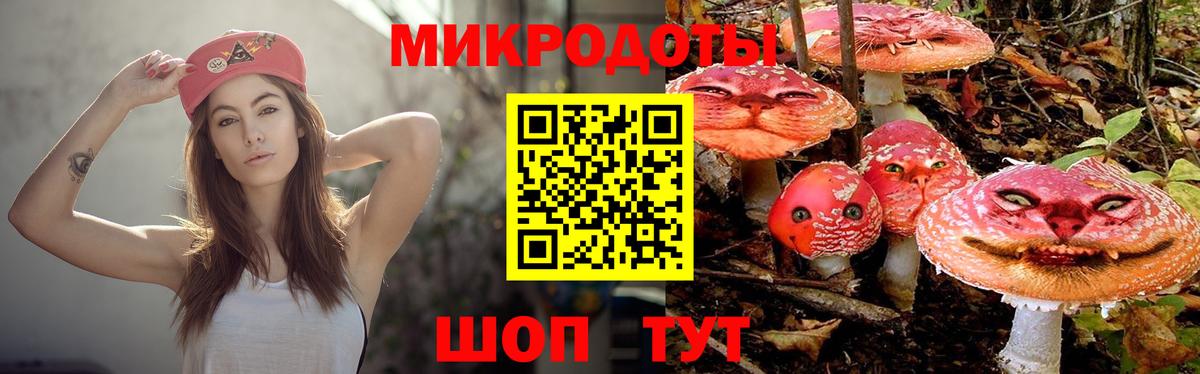 Галлюциногенные грибы Psilocybine cubensis  Галлюциногенные грибы Psilocybine cubensis  дарнет шоп  Альметьевск  Вход с VPN 